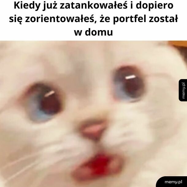To mój największy koszmar