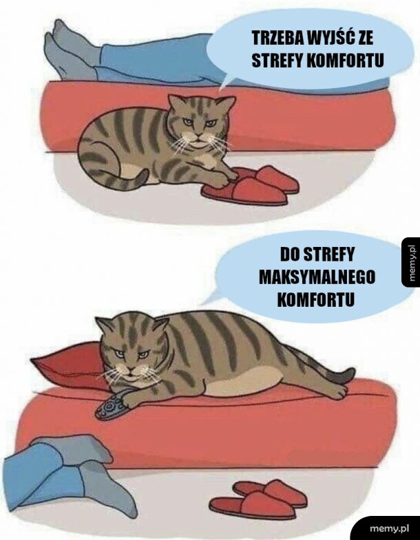 Strefa komfortu