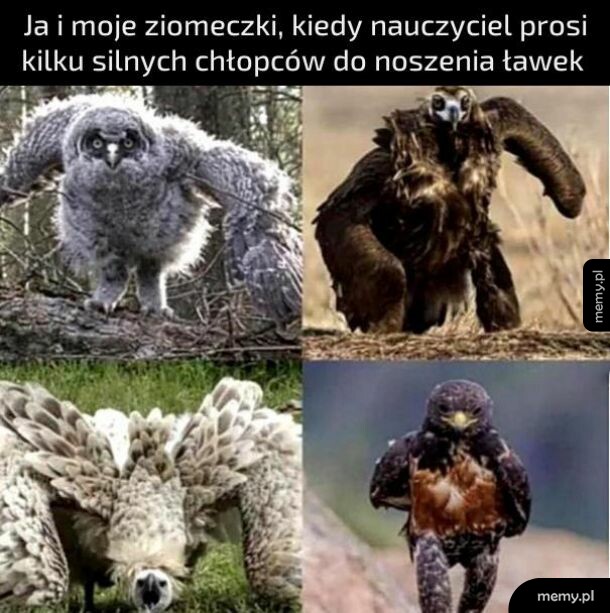 Ja i moje ziomeczki