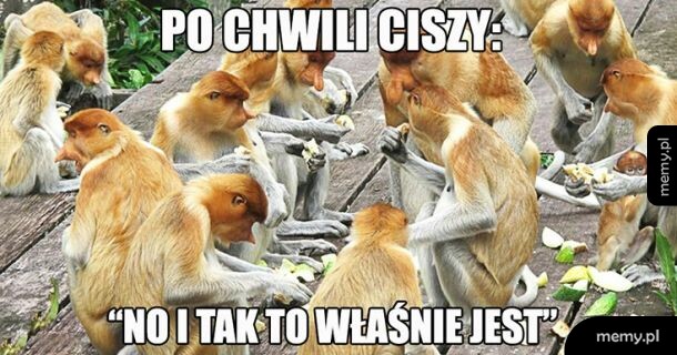 Tak to jest