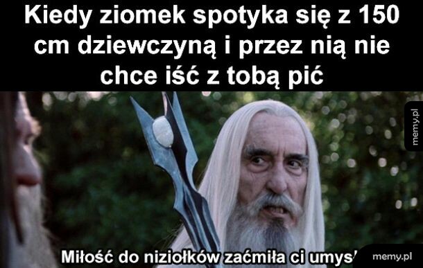 Ziomek