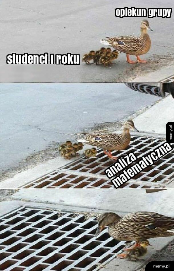 Życiowe
