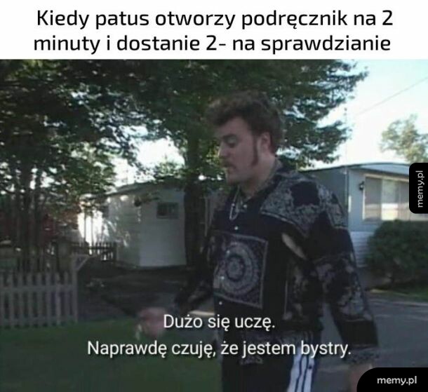 Patus