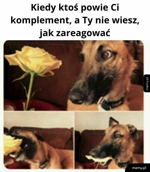 Niespodziewany komplement