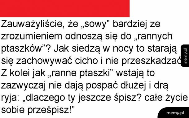 Coś w tym jest