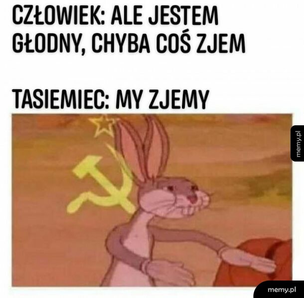 Tasiemiec taki jest