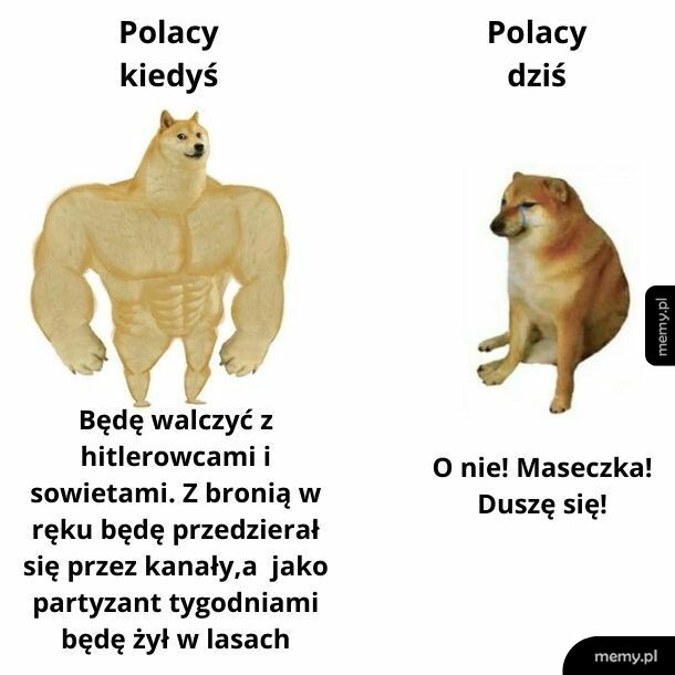 Waleczne pokolenie
