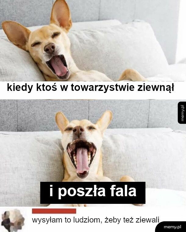 Taka zaraza