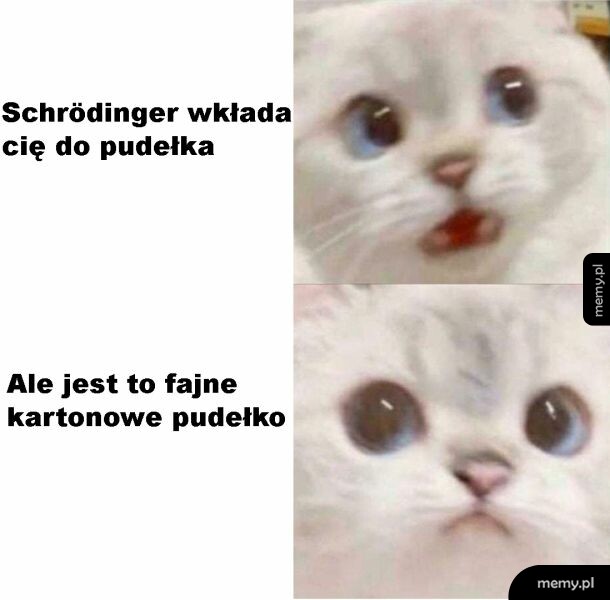 Kot Schrödingera