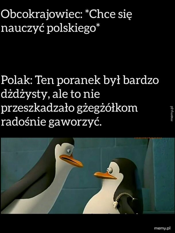 Nauka polskiego