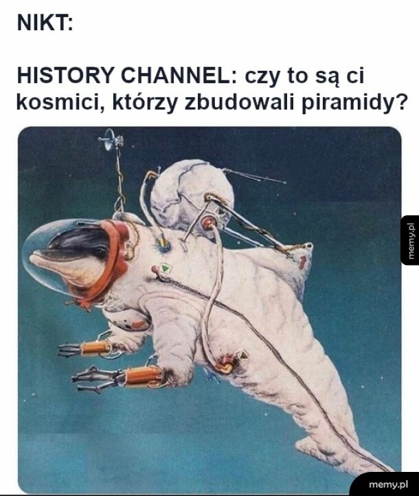Drugie najinteligentniejsze istoty na tej planecie