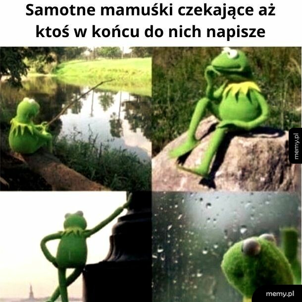 Weź ktoś napisz do nich