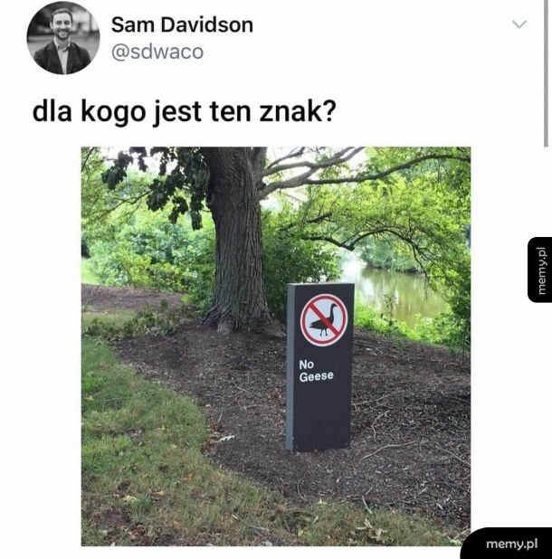 Znak