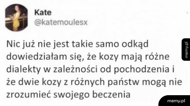 Kozy