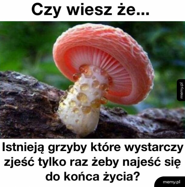 Smacznego