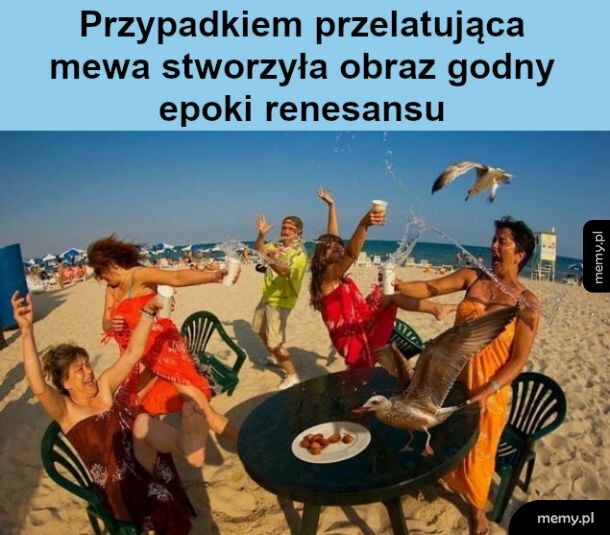 Zdolna mewa