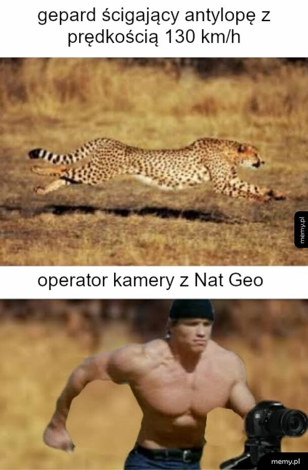 National Geographic to tacy spece
