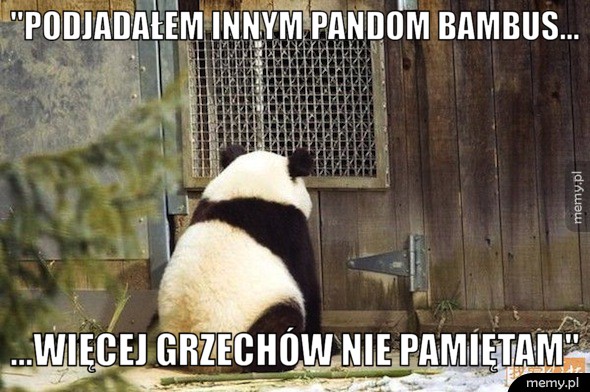 Spowiedź