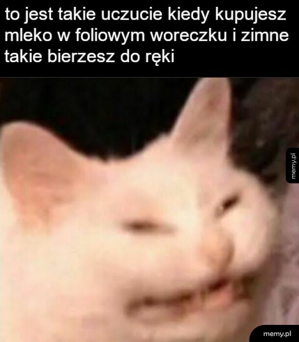 Trochę ohydne co nie