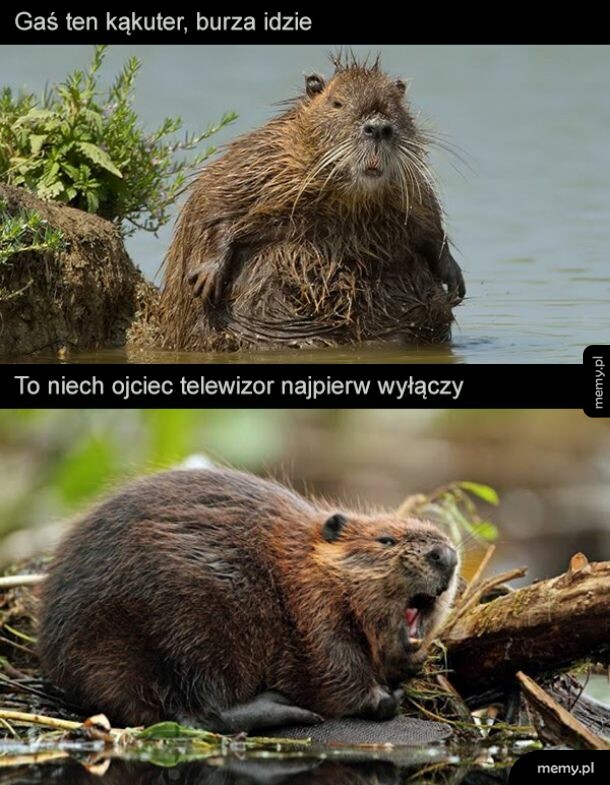 A tak serio, lepiej wyłączcie, burza stulecia idzie