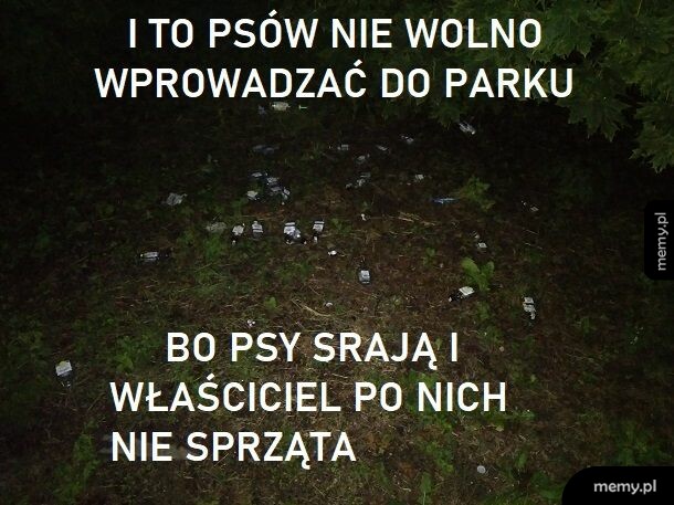 W parku