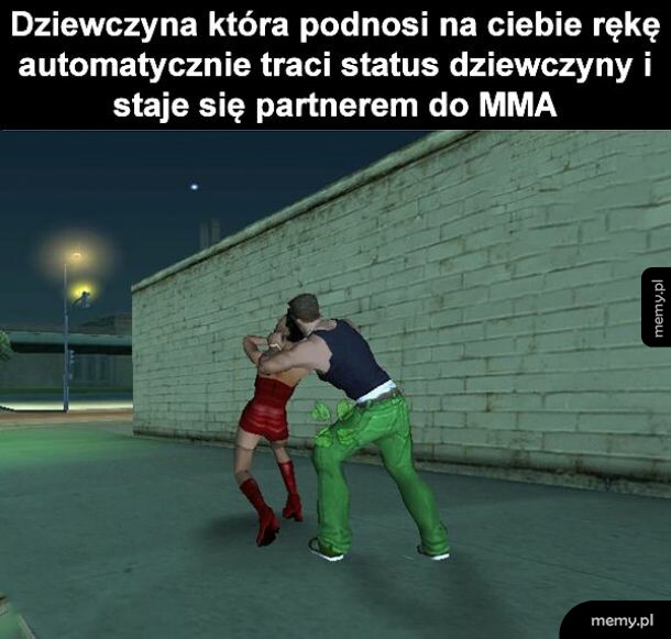 Partner MMA