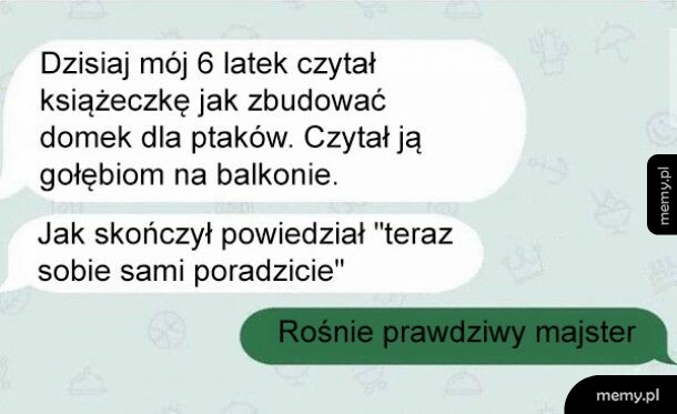 Rezolutny 6latek