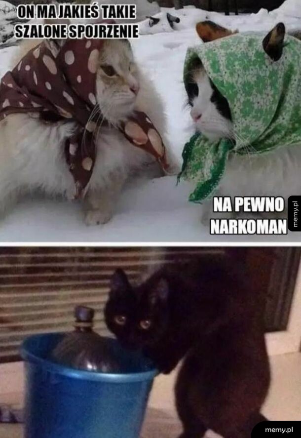 Szalone spojrzenie