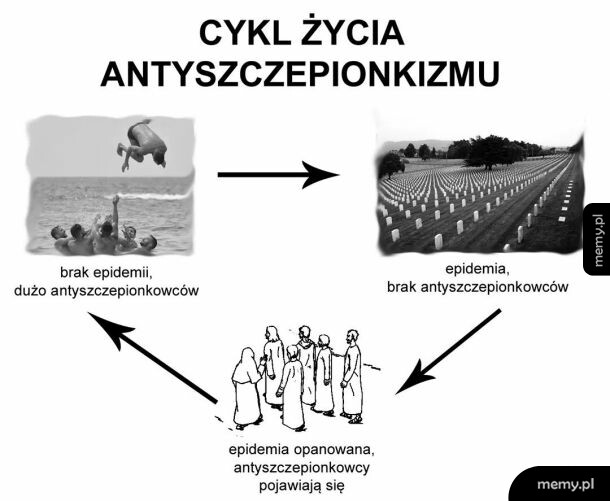 Cykl