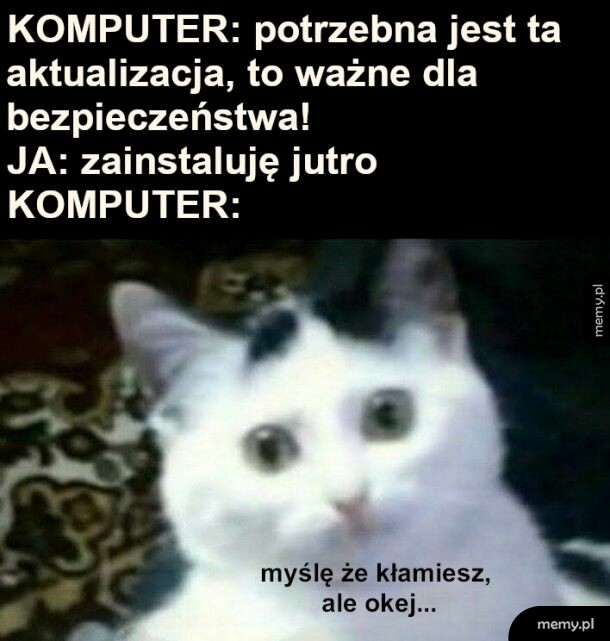 SZYBKO UPDEJTUJ