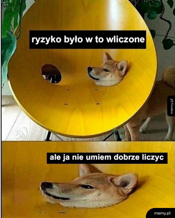 Matematyka z piesełem