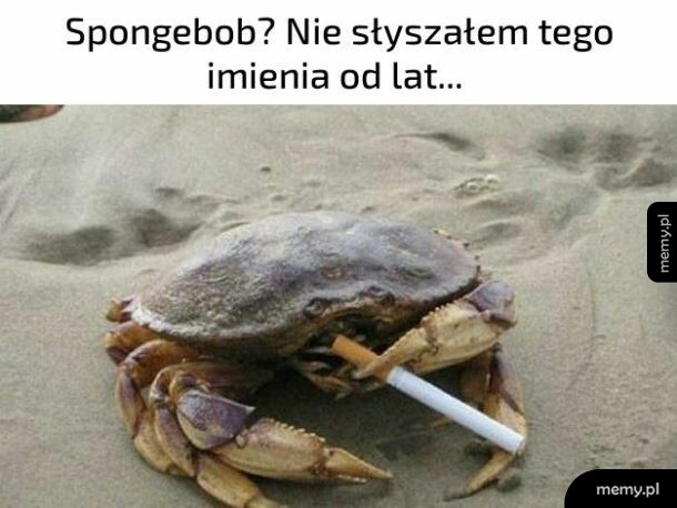 Spongebob