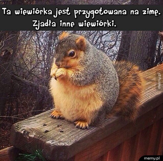 Szczwana bestia
