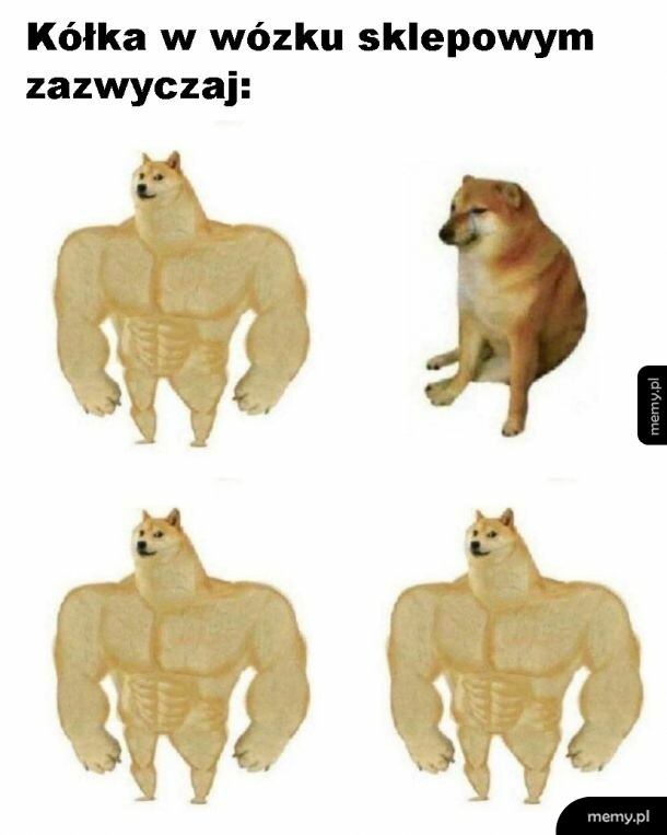 Wózek sklepowy