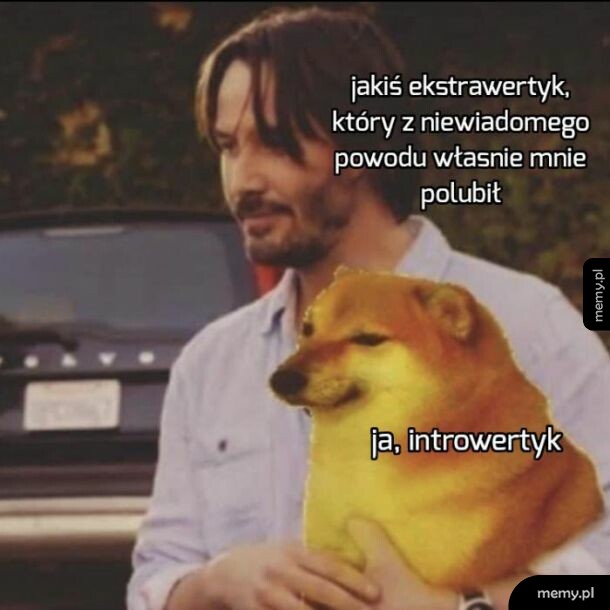 Przyjaźń