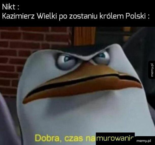 Kazimierz Wielki