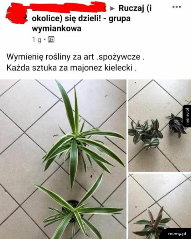 Wiadomo, że najlepszy