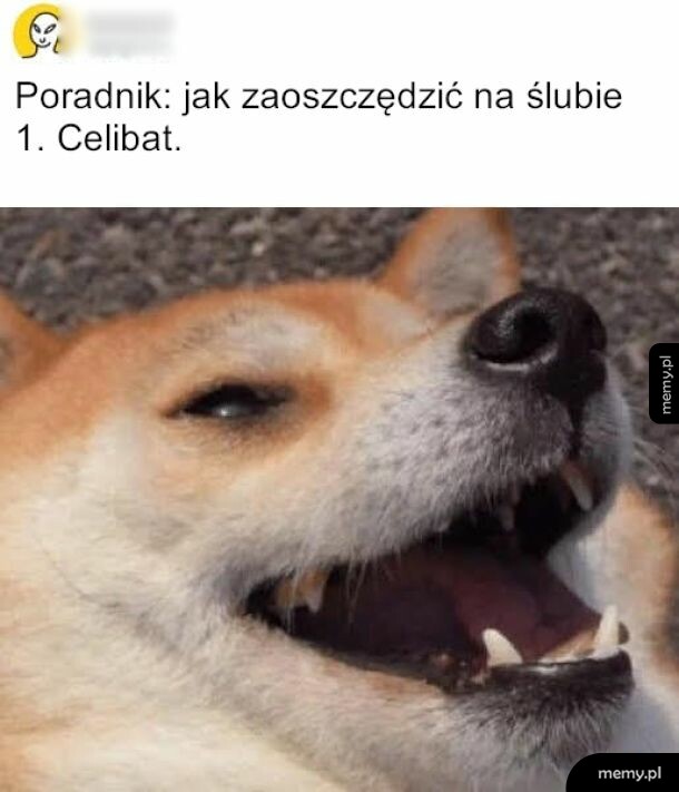 Proste i skuteczne