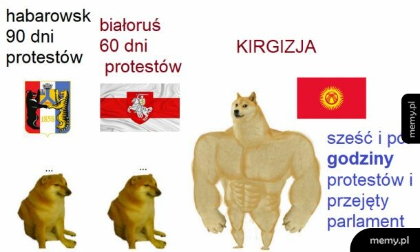 Czy to ludzie STRONK czy może państewko do niczego?
