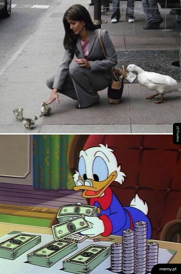 Kaczor Donald