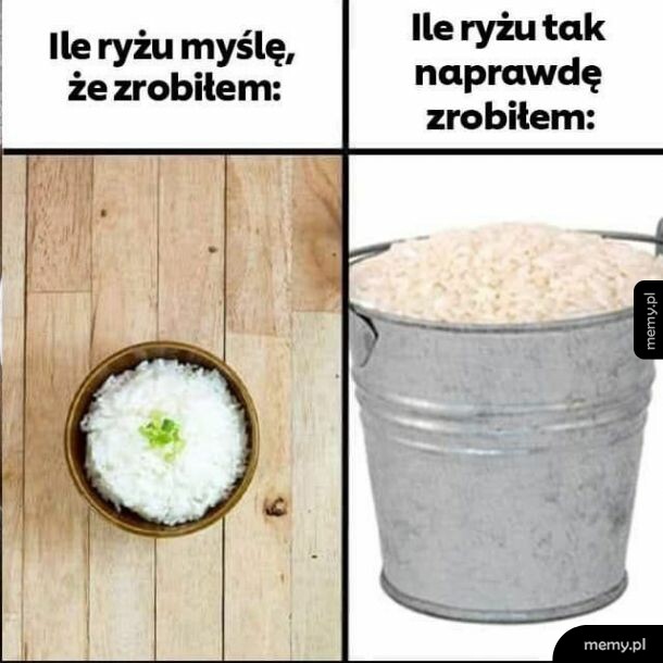 Ryż