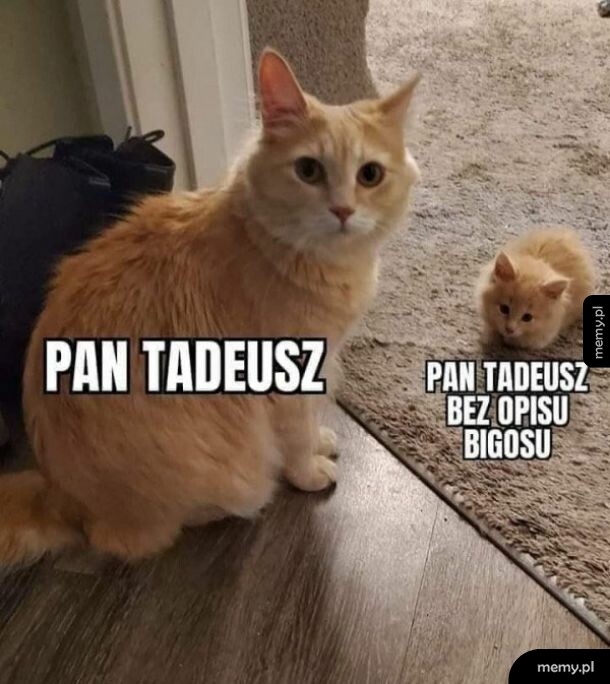 Pan Tadeusz