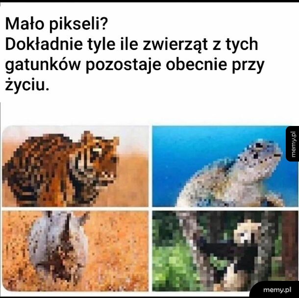 No comments