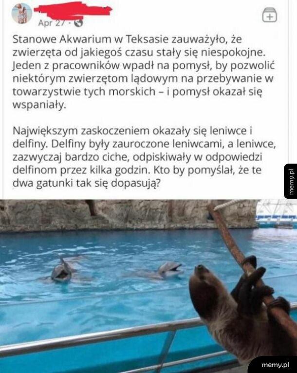 Kto by pomyślał