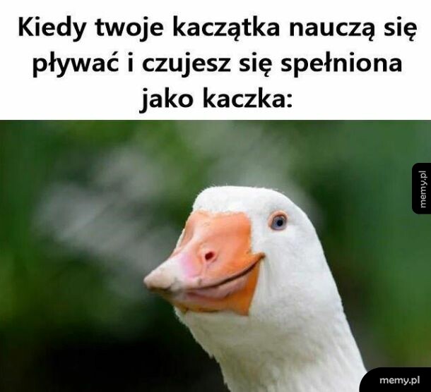 Jakie szczęście