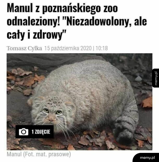 Całe szczęście