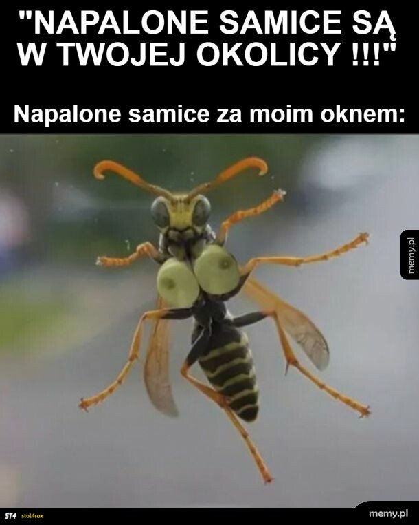 ( . ) ( . )