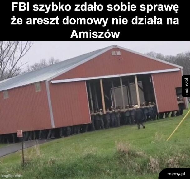 Areszt domowy