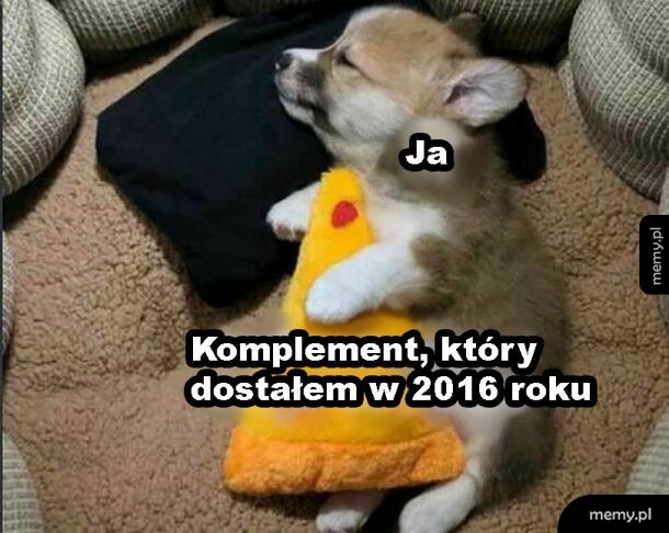 Komplement