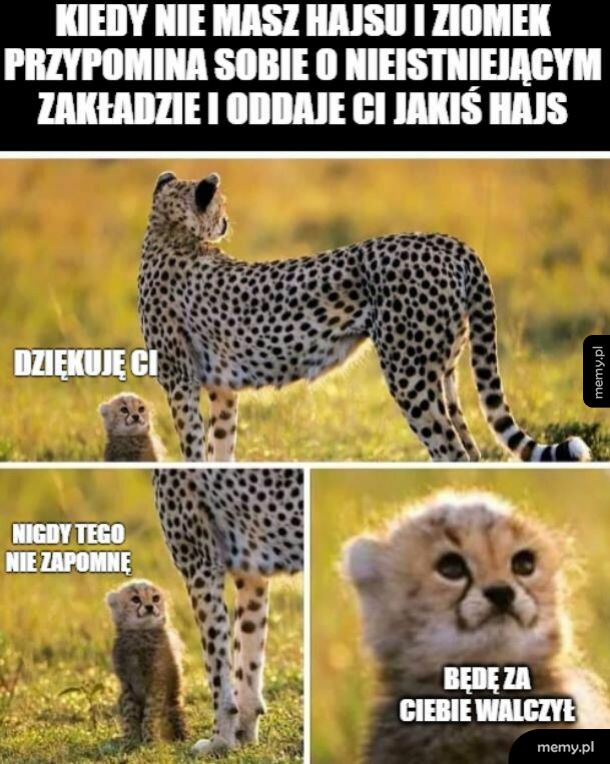 Najlepiej